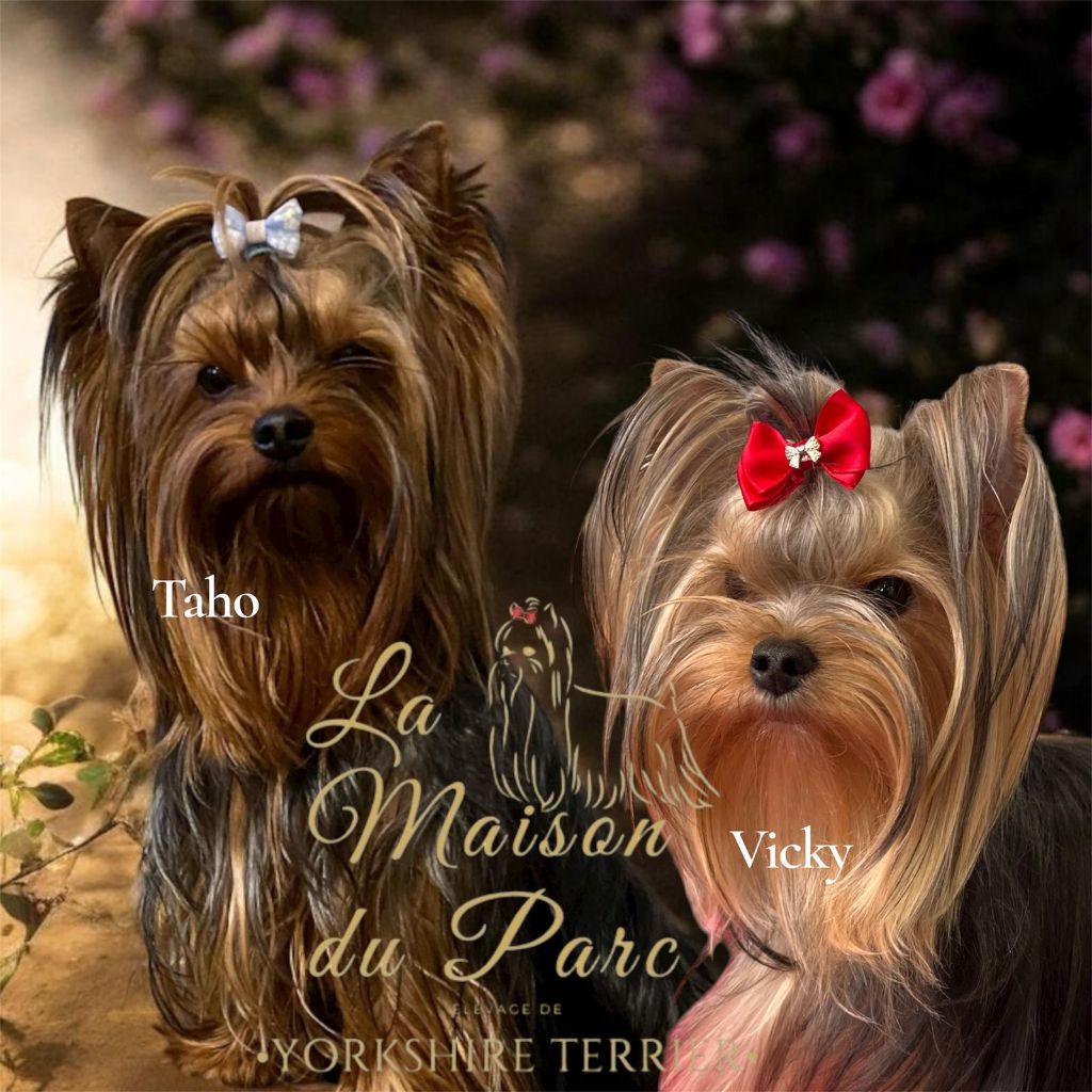 Males Disponible 